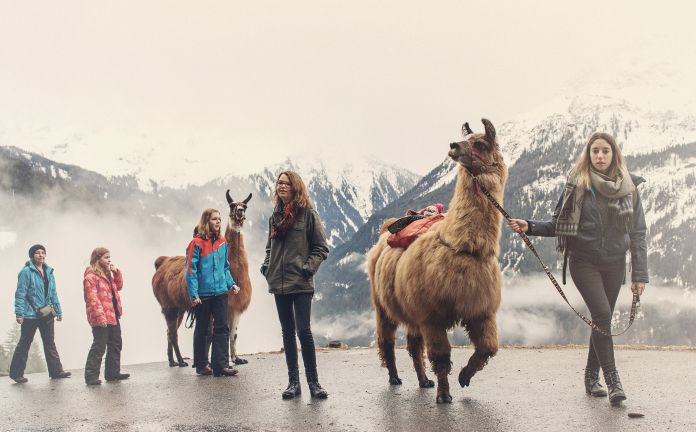 Wandern mit Lamas, Silbertal in Vorarlberg