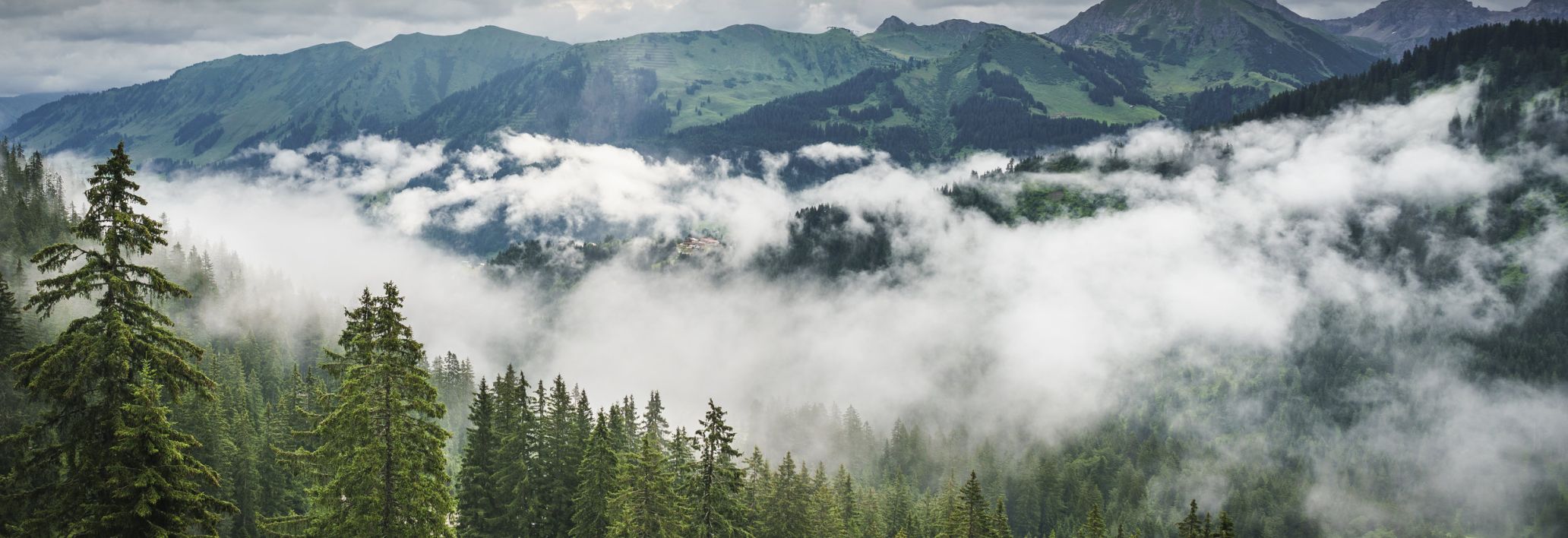 Kleinwalsertal im Nebel Kleinwalsertal im Nebel