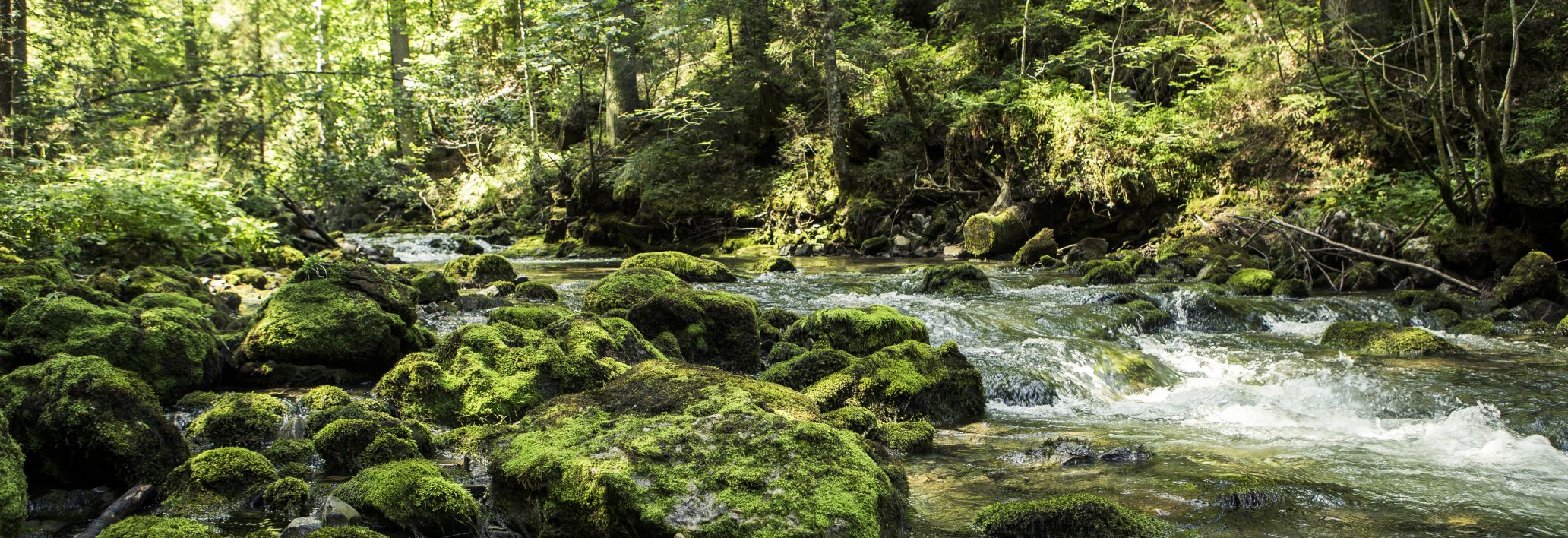 Bergbach, Kleinwalsertal Bergbach, Kleinwalsertal