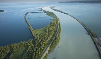 Rheinspitz Rheinspitz