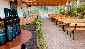 Boutique Weingut Möth Boutique Weingut Möth