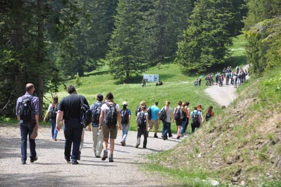 Wanderung, Workshop in der Natur Wanderung, Workshop in der Natur