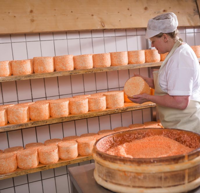 Käse Herstellung - Alpe Nova, Montafon Käse Herstellung - Alpe Nova, Montafon